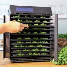 Electric Food Dehydrator