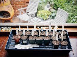 The important thing to remember is that, due to bacterial and fungal issues, seeds should not be started in a bunch of garden soil you go outside and dig up. Make The Best Seed Starting Mix For Dirt Cheap It S Organic Too Garden Betty