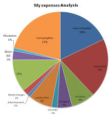 pie chart for my expenses analysis accounting education