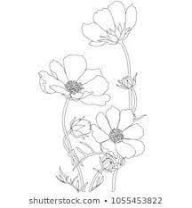 Drawing Flowers Images Stock Photos Vectors Shutterstock Flower Drawing Flower Line Drawings Flower Sketches