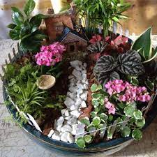 Once you decide you want to build a fairy garden, consider where you want to build it. Fairy Garden Indoor Fairy Gardens Fairy Garden Plants Fairy Garden