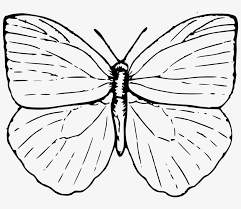 Butterfly drawings are so beautiful in color but you can learn the basics here by sketching some pretty butterflies with a simple pencil. Easy Butterfly Drawings Butterfly Outline Clip Art Butterfly Clip Art Free Transparent Png Download Pngkey