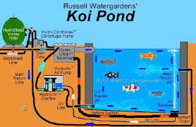 Pond Bottom Drain Diagram Related Keywords Suggestions Pond In 2021 Koi Pond Design Fish Ponds Backyard Pond Design