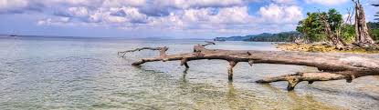 Andaman Tour Packages Book Andaman Holiday Package At Best