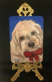 Realism Pet Portrait