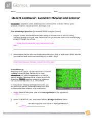 And see natural selection taking place. Evolutionmutationselectionse Docx Name Date Student Exploration Evolution Mutation And Selection Vocabulary Adaptation Allele Allele Sequence Course Hero