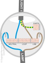 The white wire carries line, the black wire carries the switched line. Multiple Lights From A Single Switch