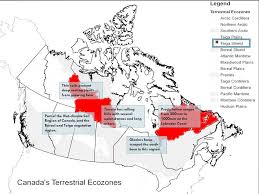 The canadian shield natural region is a remote landscape within alberta that has a relatively little disturbance. By Roberta And Seher The Taiga Shield Zone Is Located Just To The East Of The Taiga Plains South Of The Southern Artic Zone And North Of The Boreal Ppt Download