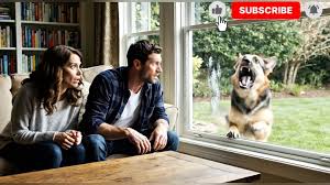 After Their Son Goes Missing, a Strange German Shepherd Taps On Window  Daily—Where It Leads Turns Them Pale! #viralstory #EmotionalWildlife  #lionstory #pregnant #lionrescue #animalrescue ...