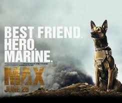 A dog that helped us marines in afghanistan returns to the u.s. Max 2015 Hd English Movie Free Download Firstmask Com Max Movie Movie Sites English Movies