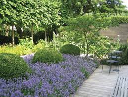 Notting Hill Garden 1 Sloped Garden Beautiful Gardens Garden Design
