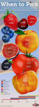 Fruits In Hawaii Fruits Similar To Grapefruit Fruits With Seeds Or Pit 94 Fruits Basket Collector S Edition Set Summer Fruit Fruit Fruits And Veggies