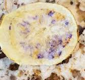 I know chips can be green but why is this blue? : r ...