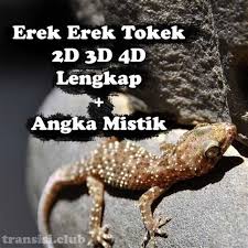 Natal (dari bahasa portugis yang berarti kelahiran) adalah hari raya umat kristen yang diperingati setiap tahun oleh umat kristiani pada tanggal 25 desember untuk memperingati hari kelahiran yesus kristus. Kede Alam Hari Natal 2d Kode Alam 3d Togel Wap Online Indonalo Ambon 11 Maret 2017 Di Dalam Kartu Natal Seringkali Sudah Ada Tulisan Selamat Natal Jadi Pengirim Tinggal Menaruh