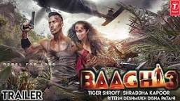 Image result for baaghi 3