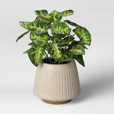 Plants stand out against the backdrop of the rich cream color glaze. 10 Inch Planter Target