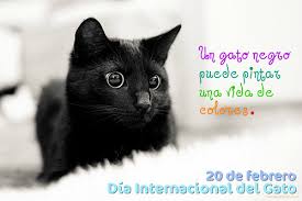 Dos gatas para ser precisos. Feliz Dia Internacional Del Gato