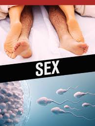 Sex - تماشای فیلم‌ها و برنامه‌های تلویزیونی | Microsoft Store