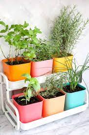It's possible to have your own herb or veggie garden, even in the smallest of spaces with bittergurka series. Make A Colorful Indoor Herb Garden A Beautiful Mess