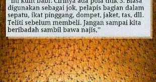 Jenis kulit babi pada kasut. Mengenal Barangan Kulit Babi Khinzir