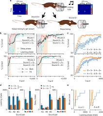 Check spelling or type a new query. Cortical Recruitment Determines Learning Dynamics And Strategy Nature Communications