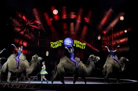 Ringling Bros Circus To Close After 146 Years Billboard