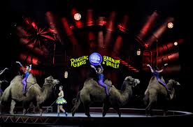 ringling bros circus to close after 146 years billboard