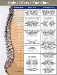 Maybe you would like to learn more about one of these? Myth 7 Chiropractors Only Treat Back Pain Damron Chiropractic Wellness
