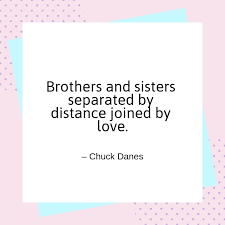 Here is one such collection that showcases 32 cool quotes handpicked from different sources. Brother And Sister Quotes Text Image Quotes Quotereel