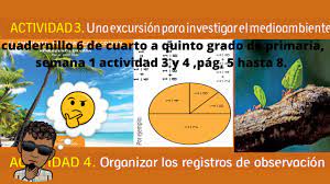 De las siguientes frutas, encierre la que tenga más sonidos en su nombre y coloque un la que tenga menos sonidos. Cuadernillo 6 De Cuarto A Quinto Grado De Primaria Semana 1 Actividad 3 Y 4 Pag 5 Hasta 8 Youtube