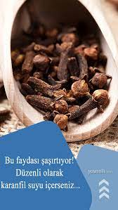Karanfilin Faydalari Nelerdir Hangi Hastaliklara Iyi Gelir Duzenli Karanfil Suyu Icerseniz 2020 Agiz Kokusu Yemek Saglik