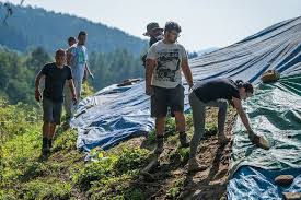 Do zatrzymania samochodów użyto dziecka, które. Maszkowice Cyganie Artykuly Gazeta Krakowska