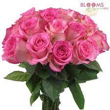 Pin On Myfavoriteblooms