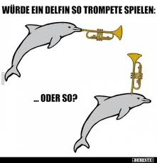 Wurde Ein Delfin So Trompete Spielen Lustige Bilder Spruche Witze Echt Lustig