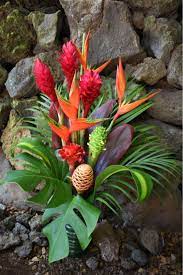 Tropical Flower Arrangements Tropical Flower Arrangements Arrangements In 2020 Tropical Flower Arrangements Tropical Floral Arrangements Tropical Flower Plants