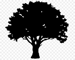 .silhouette transparent background stock illustrations, vectors & clipart for free or amazingly low rates! Oak Tree Silhouette Png Download 827 709 Free Transparent English Oak Png Download Cleanpng Kisspng