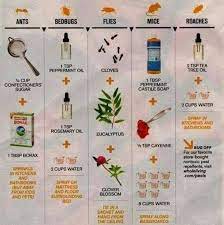 Myo Pesticides Budget101 Diy Pest Control Lawn Pests Lawn Pest Control