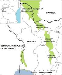 Image result for Mikaniopsis usambarensis