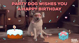 We did not find results for: Party Dog Gifs Get The Best Gif On Giphy