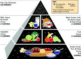 usda food pyramid history