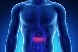 Recent rise in blood sugar levels. What Are The Warning Signs Of Pancreatic Cancer Roswell Park Comprehensive Cancer Center