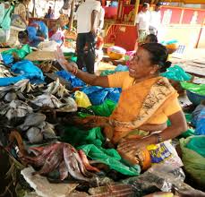 india mangalore fish market mangalore india photo album
