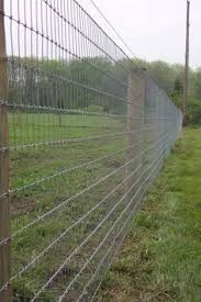 Woven Wire Fence Close Up Wire Fence Backyard Fences Farm Fence