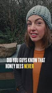 Do Bees Poop Honey