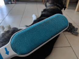 Hier solltest du so schnell wie möglich eingreifen. Tierhaarentferner Produkte Tipps Tricks Tierhaar Ratgeber