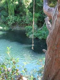 Havelock North Beaches I17 North Beach Travel Inspo New Zealand