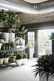 Winston flowers ei tegutse valdkondades muu ostlemine, toidukaupade, jookide ning tubaka tootmine, ostlemine. Chestnut Hill Newton Ma Floral Gallery Winston Flowers