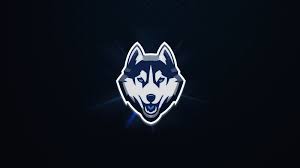 White And Blue Wolf Logo Logo Bb Logo Hd Wallpaper Wallpaper Flare Almost files can be used for commercial. white and blue wolf logo logo bb logo