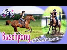 Rocketman, studied at vellore institute of technology, vellore (2018). 210 Lia Und Alfi Ideen In 2021 Pferde Reiten Pferd