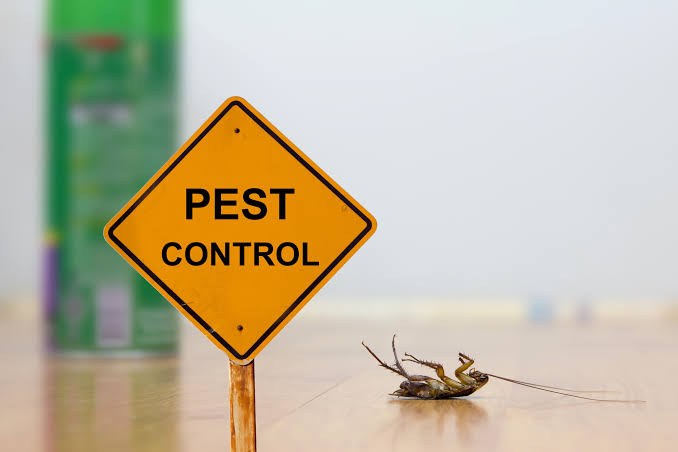 Pest Control vs Extermination: What's the Difference?